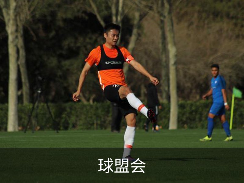 关于球盟会